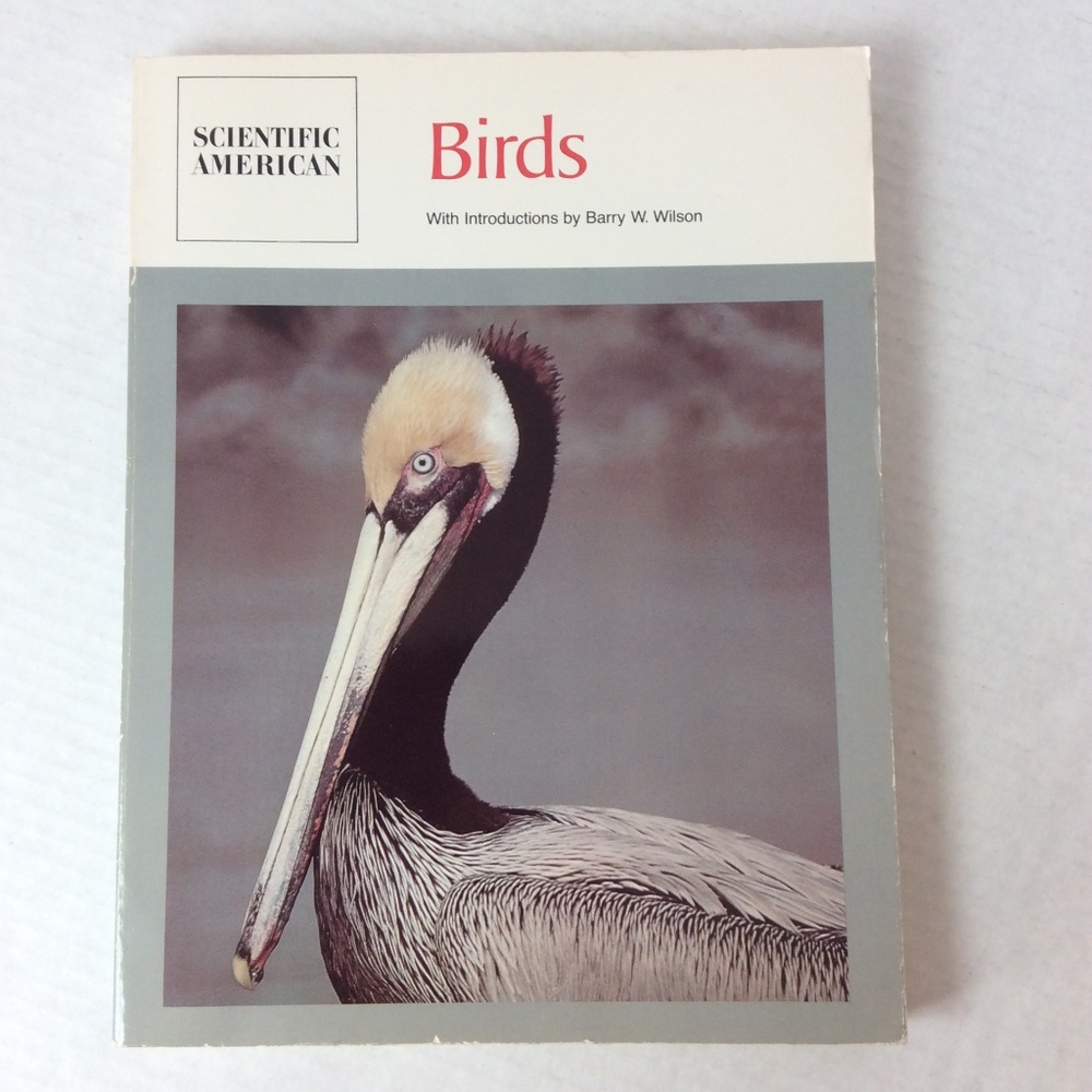 Scientific American Magazine Birds 1980